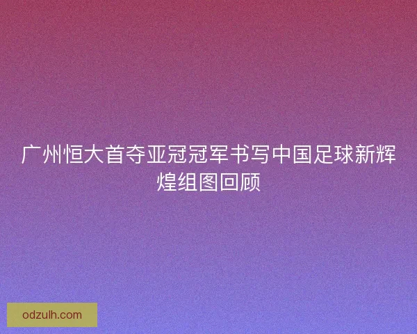 广州恒大首夺亚冠冠军书写中国足球新辉煌组图回顾